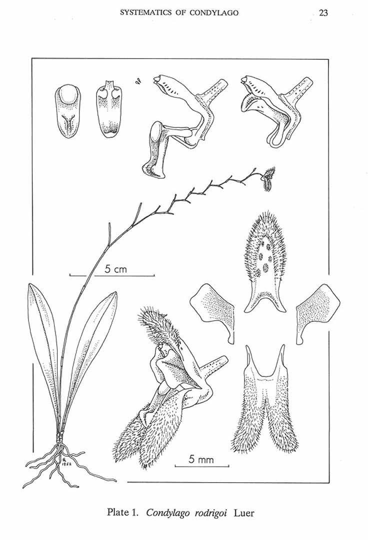 no HD illustration available (m5)