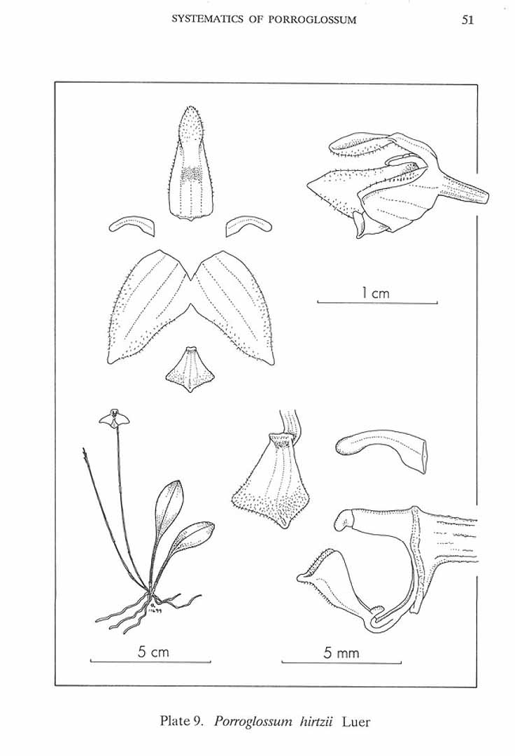 no HD illustration available (m5)