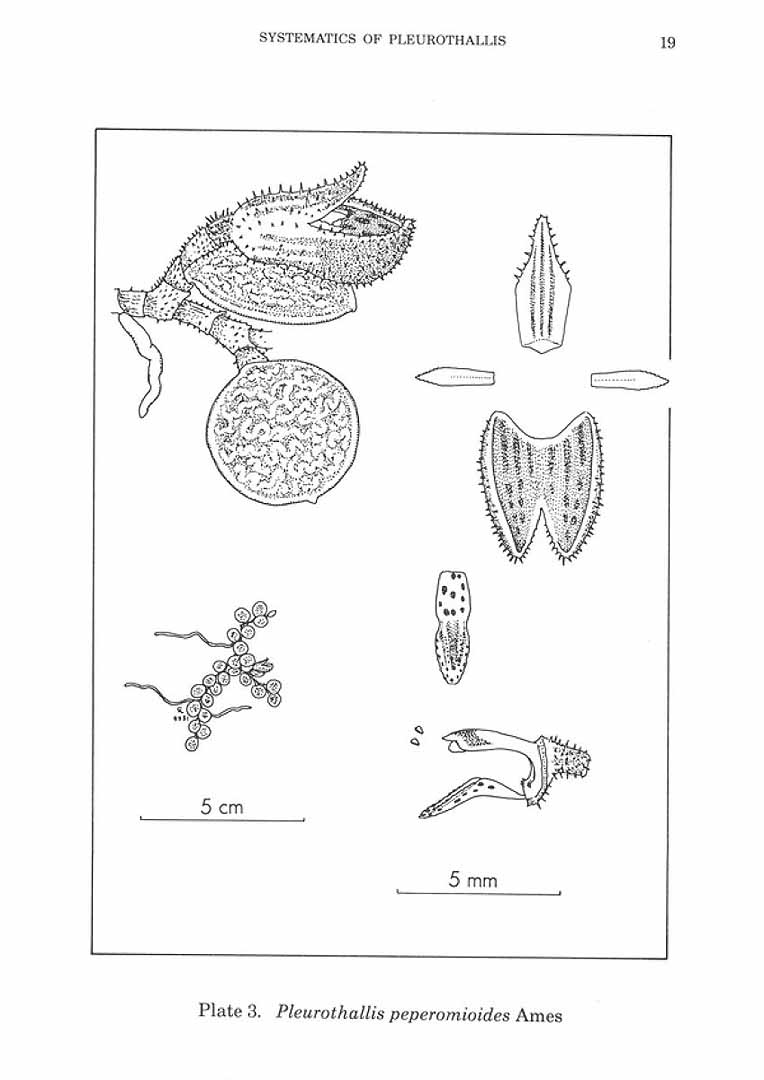 no HD illustration available (m5)