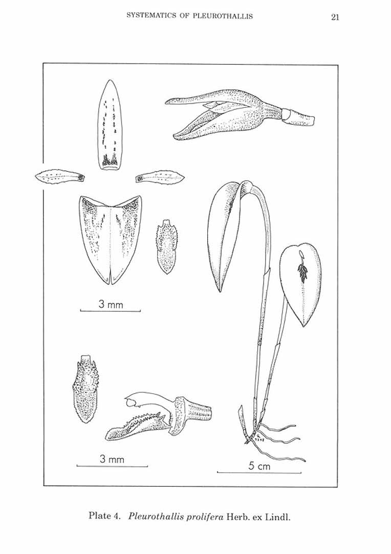 no HD illustration available (m5)