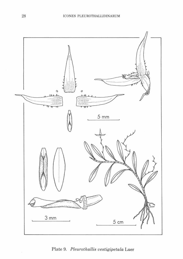 no HD illustration available (m5)