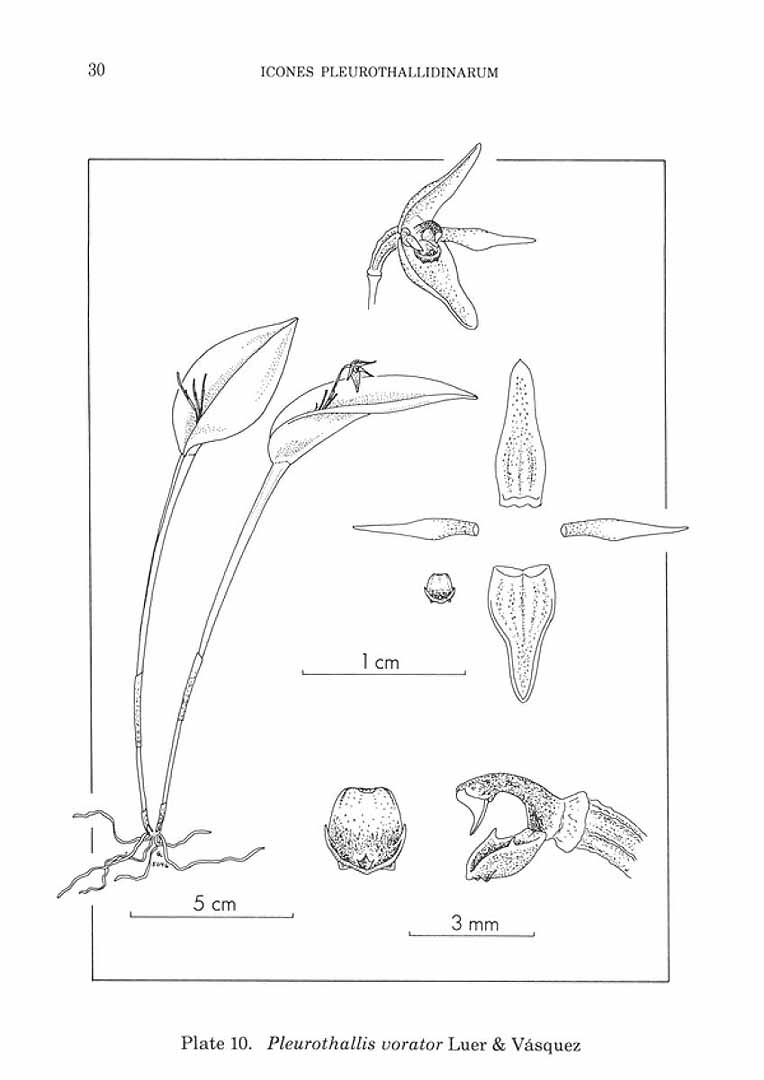 no HD illustration available (m5)