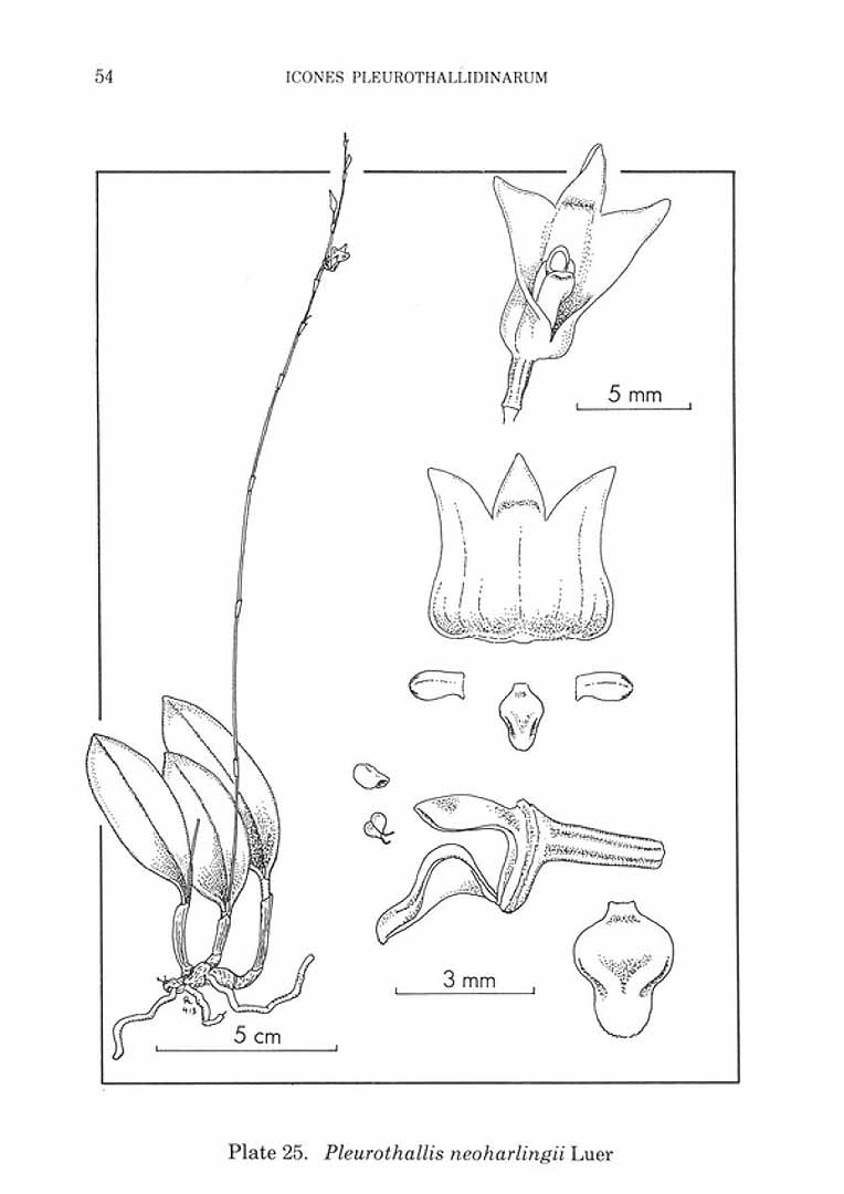 no HD illustration available (m5)