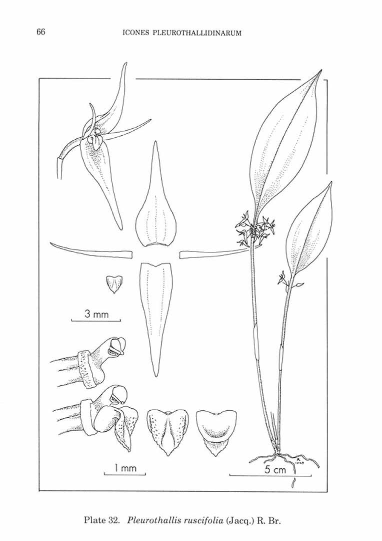 no HD illustration available (m5)