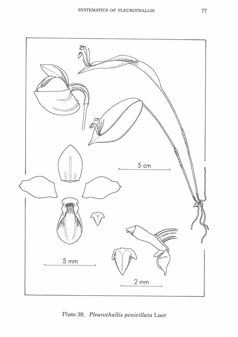 no HD illustration available (m5)