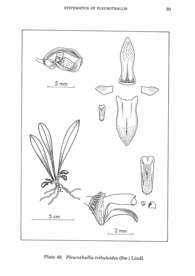 no HD illustration available (m5)