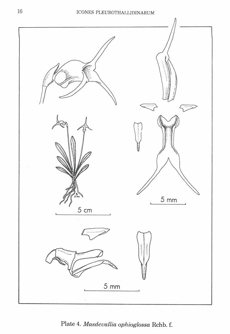 no HD illustration available (m5)