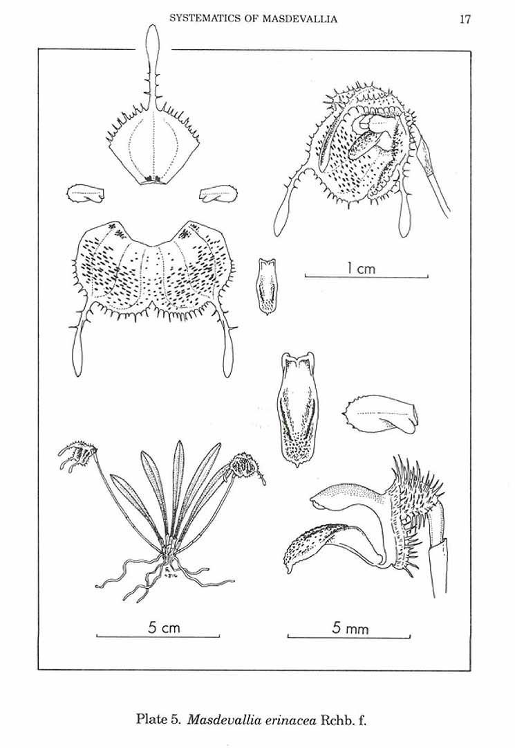 no HD illustration available (m5)