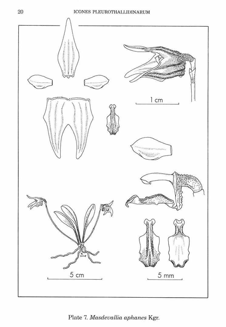 no HD illustration available (m5)