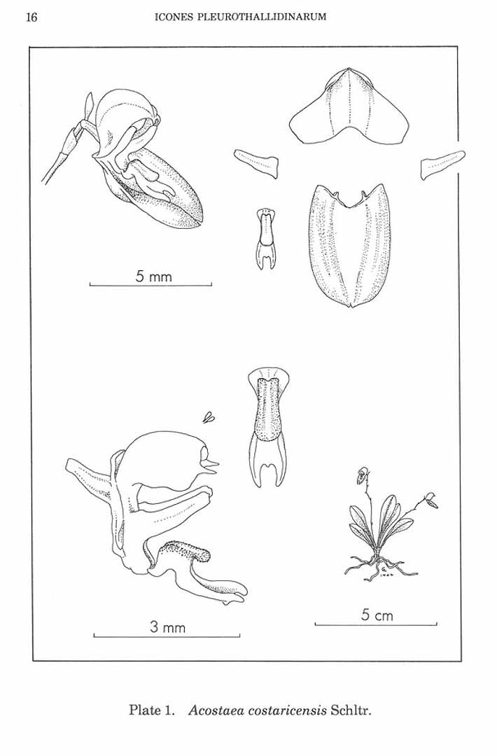 no HD illustration available (m5)