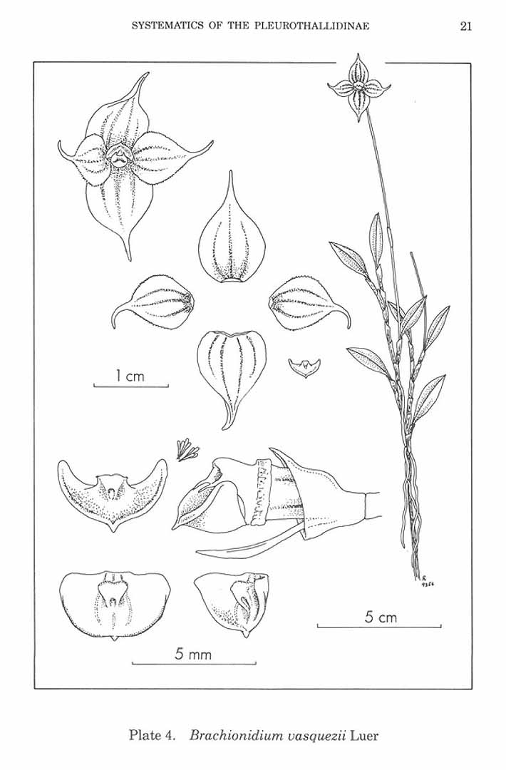 no HD illustration available (m5)