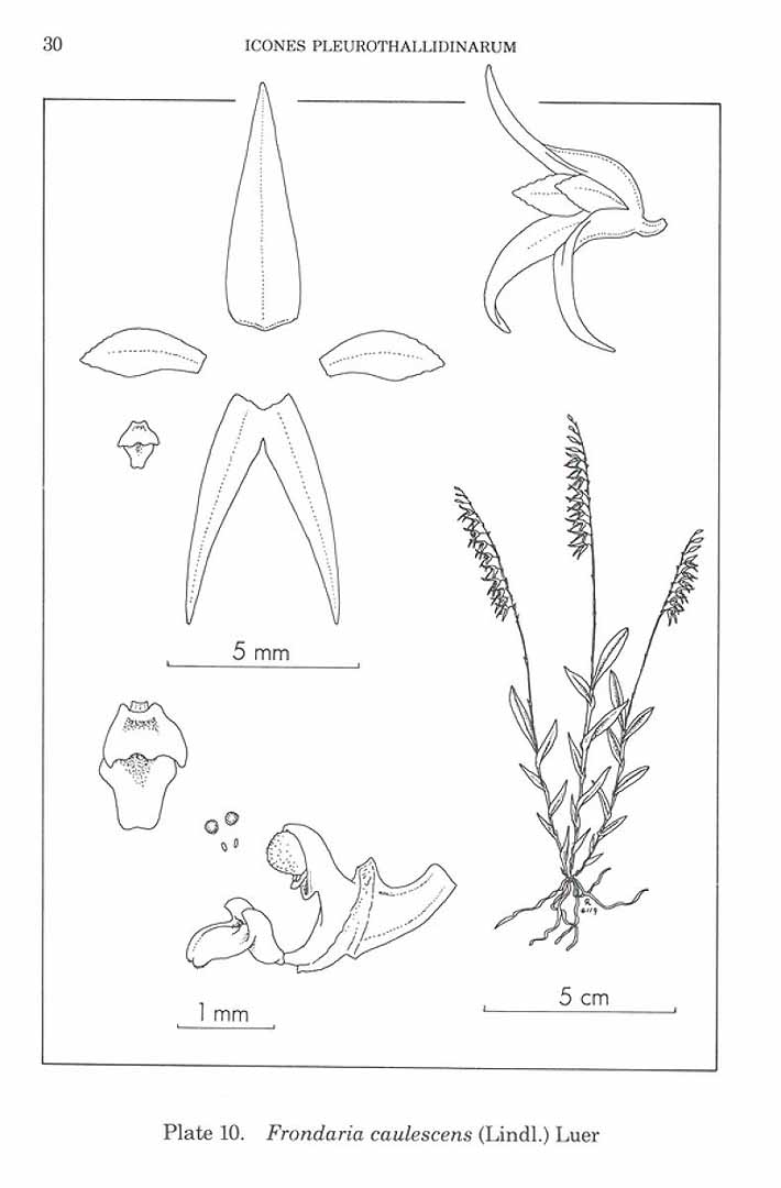 no HD illustration available (m5)