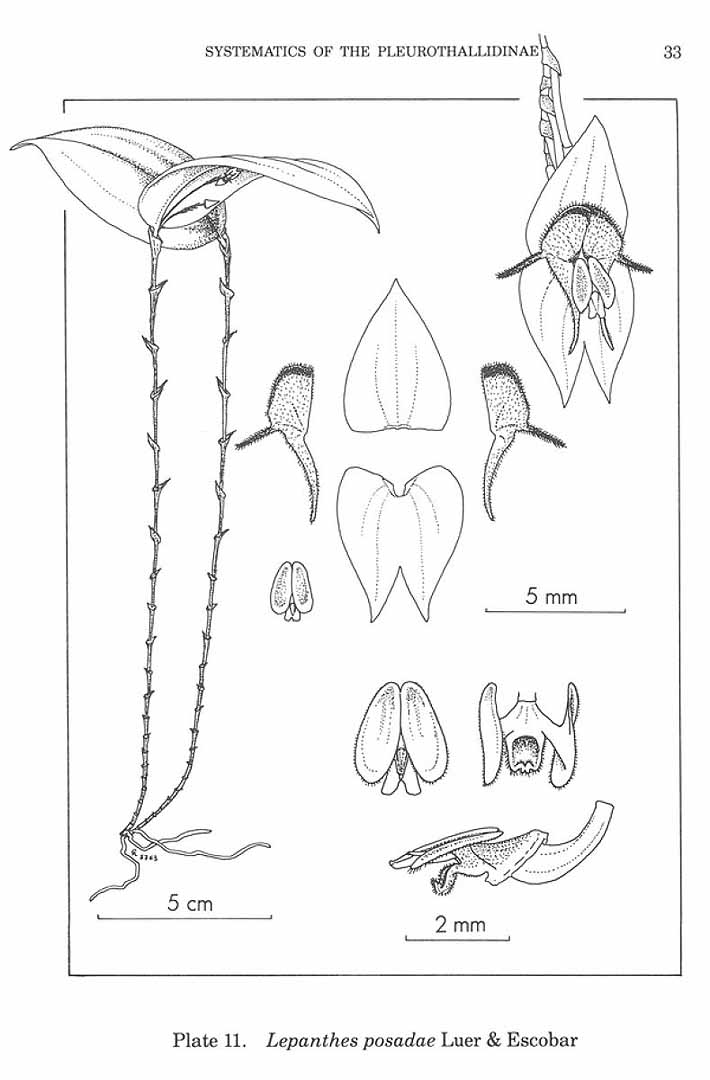 no HD illustration available (m5)