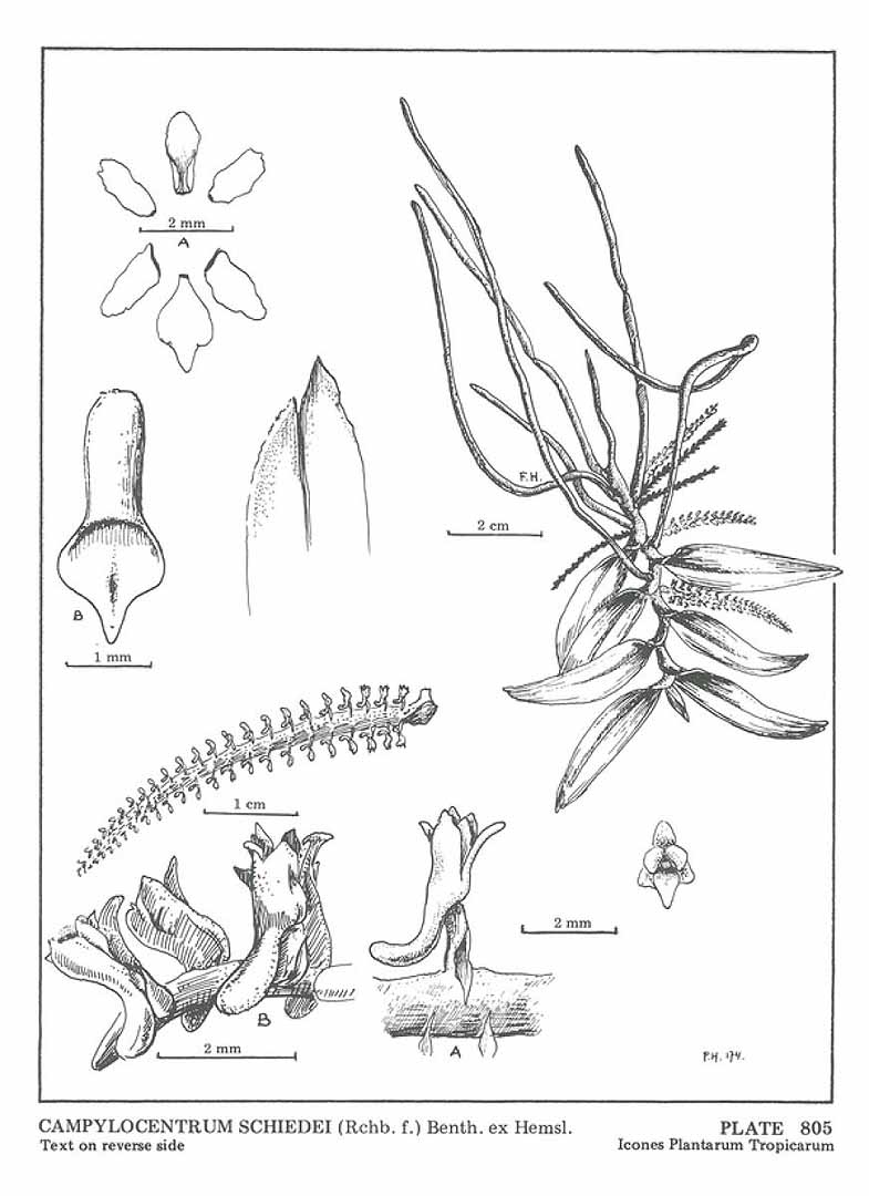 no HD illustration available (m5)