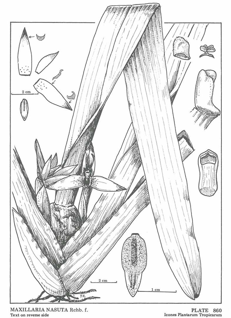 no HD illustration available (m5)