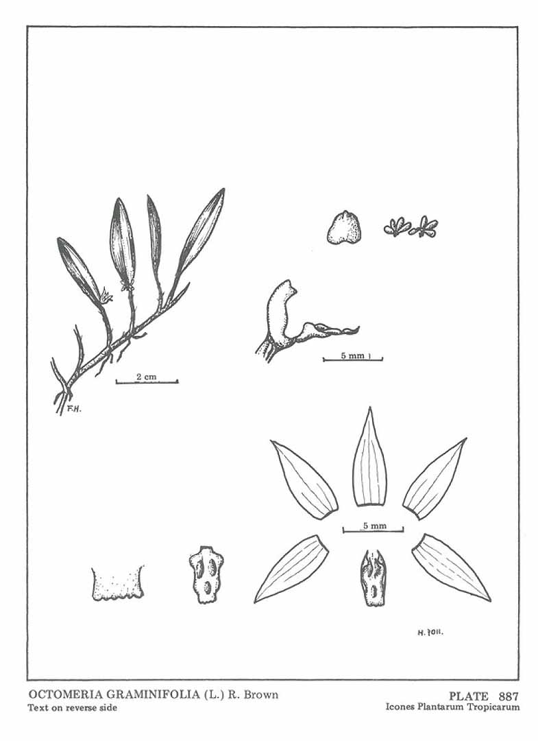 no HD illustration available (m5)