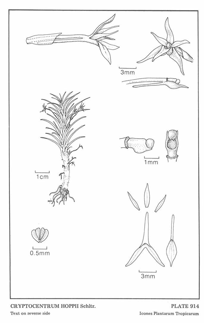 no HD illustration available (m5)
