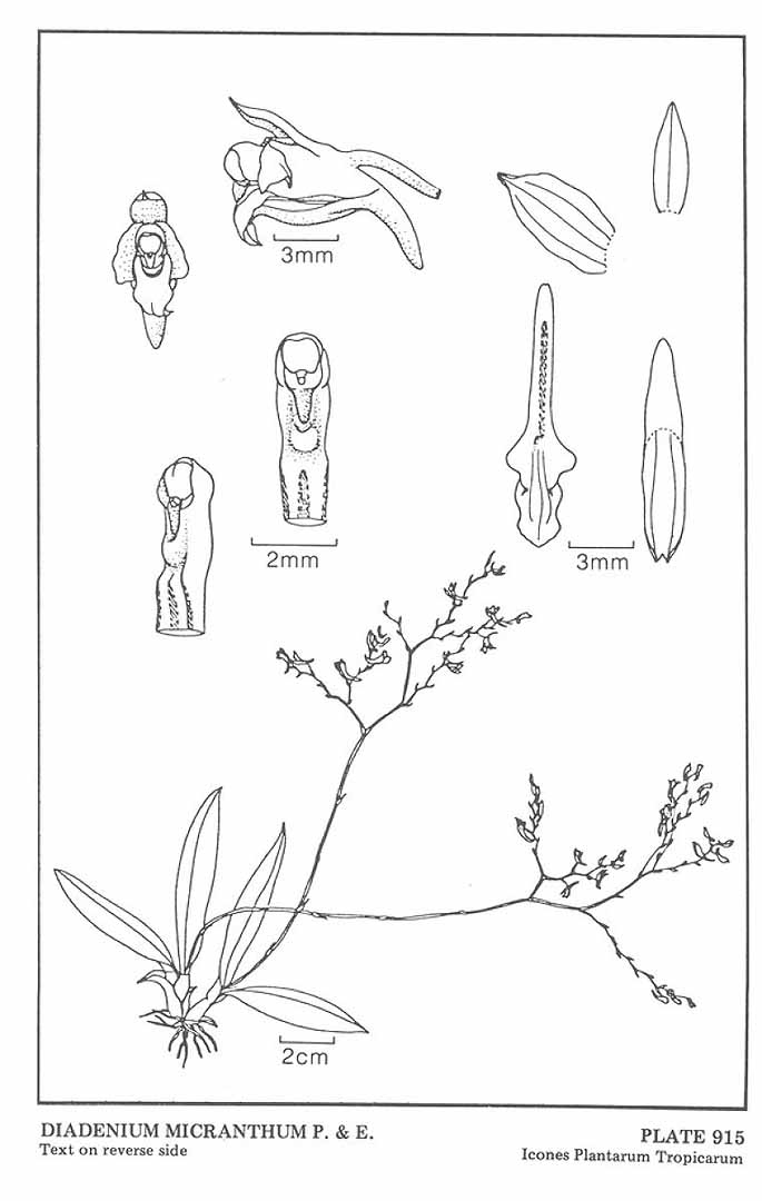 no HD illustration available (m5)
