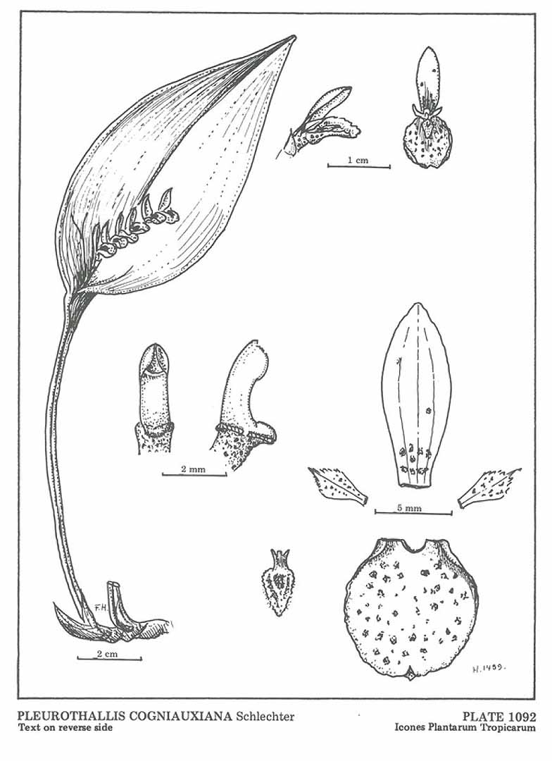 no HD illustration available (m5)