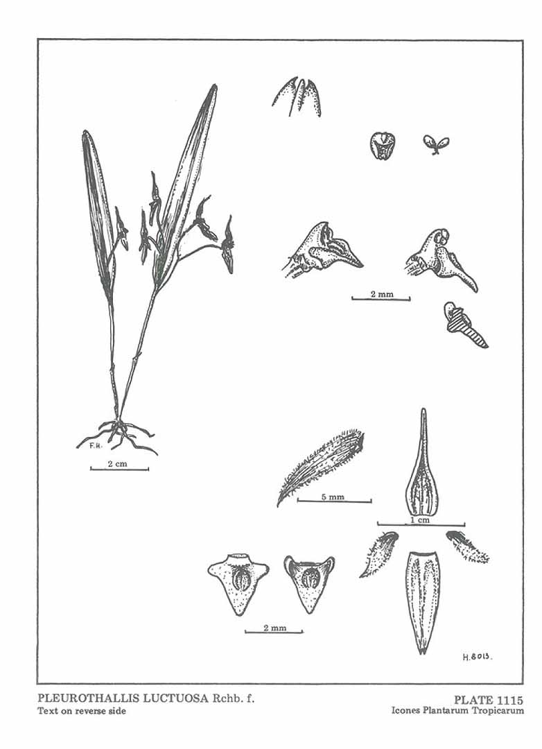 no HD illustration available (m5)