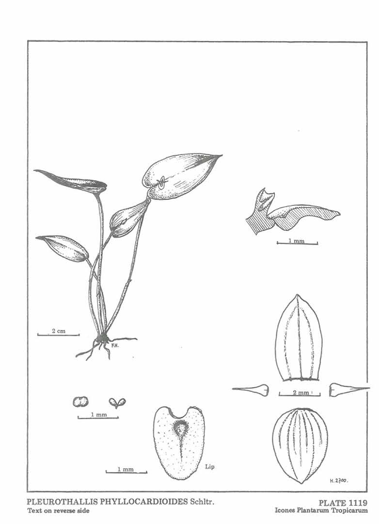 no HD illustration available (m5)