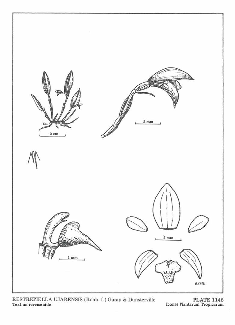 no HD illustration available (m5)