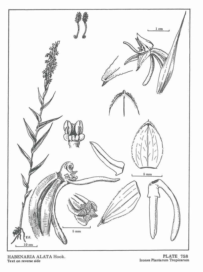 no HD illustration available (m5)