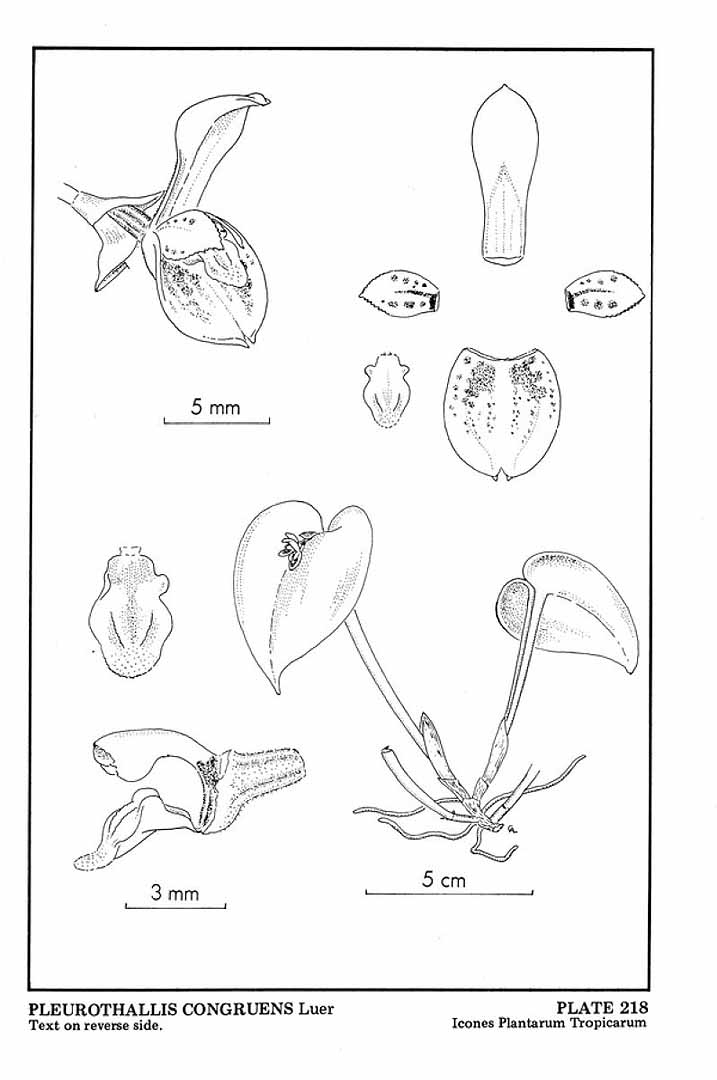 no HD illustration available (m5)