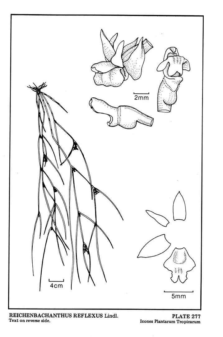 no HD illustration available (m5)
