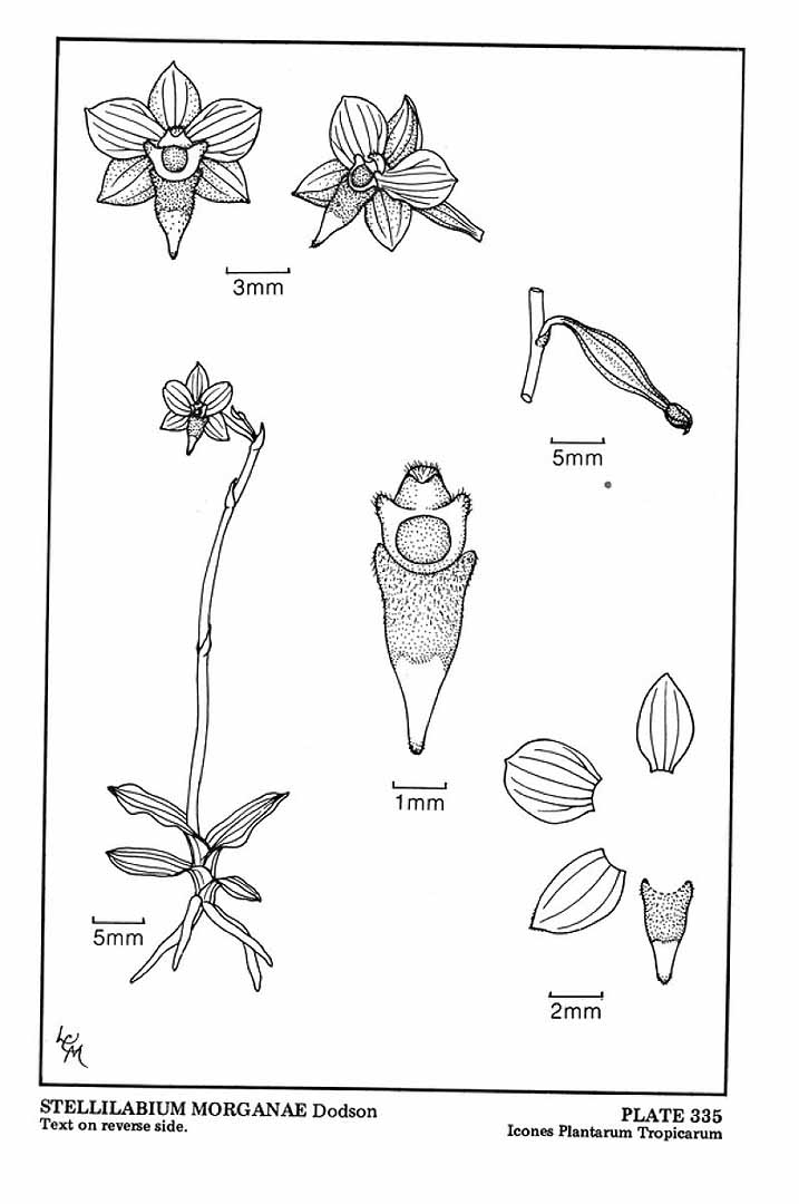 no HD illustration available (m5)