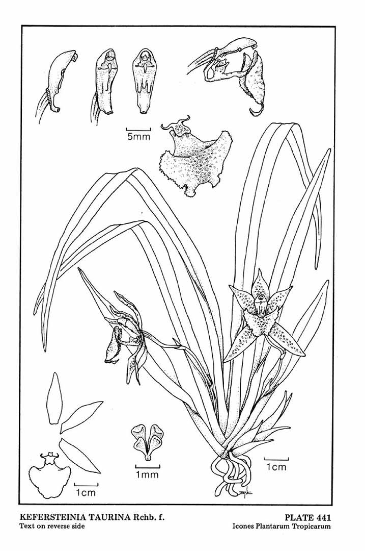 no HD illustration available (m5)