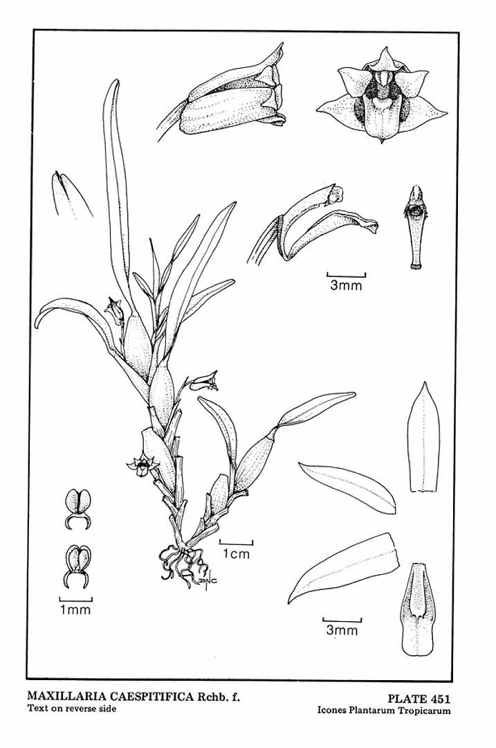 no HD illustration available (m5)