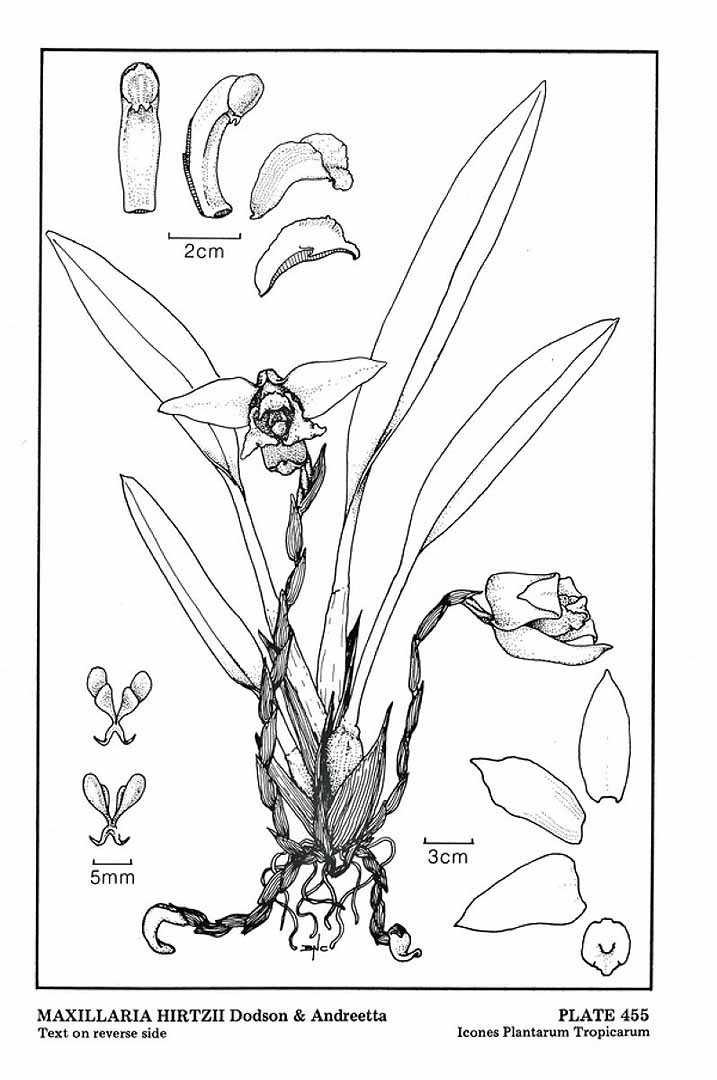 no HD illustration available (m5)