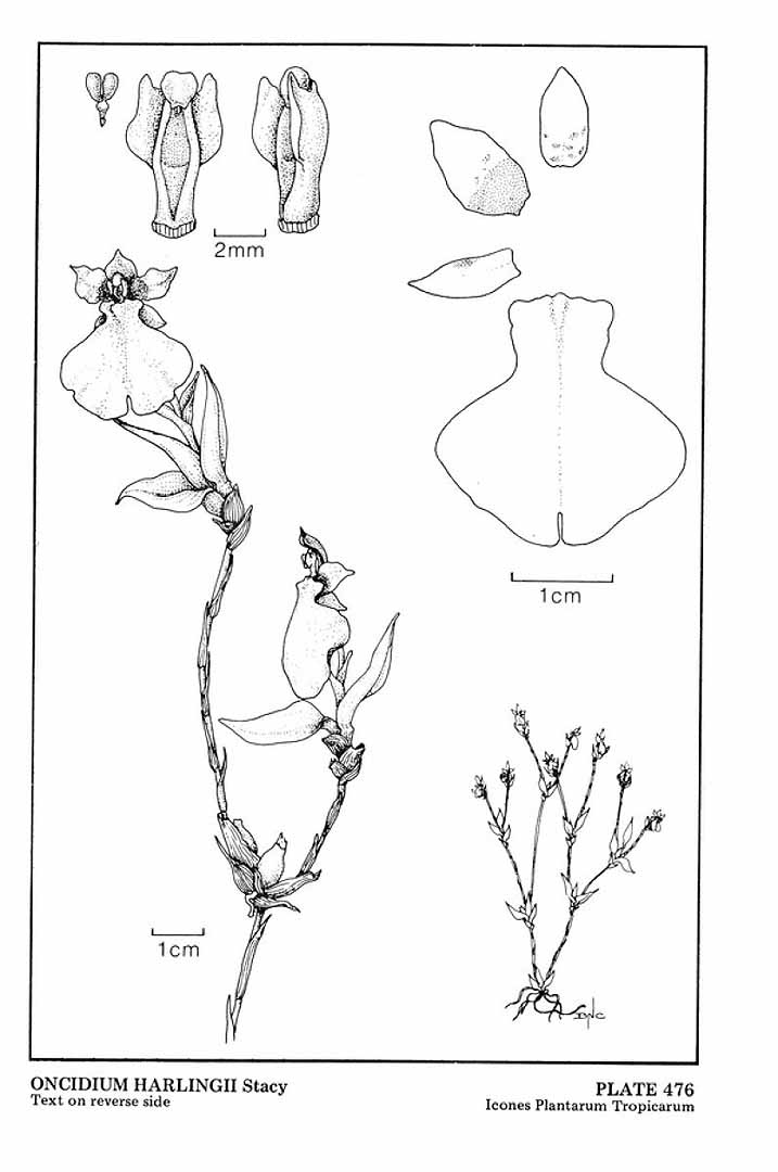 no HD illustration available (m5)