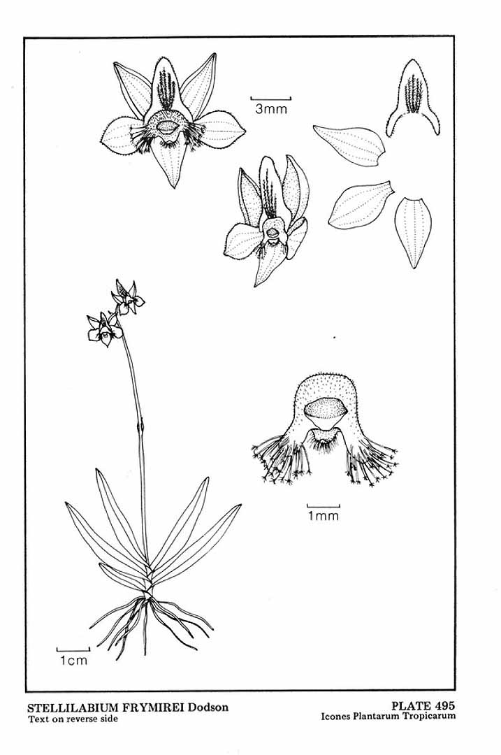 no HD illustration available (m5)