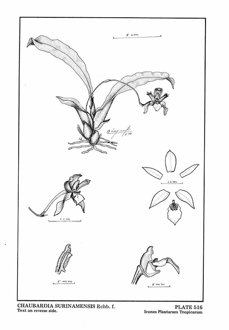 no HD illustration available (m5)