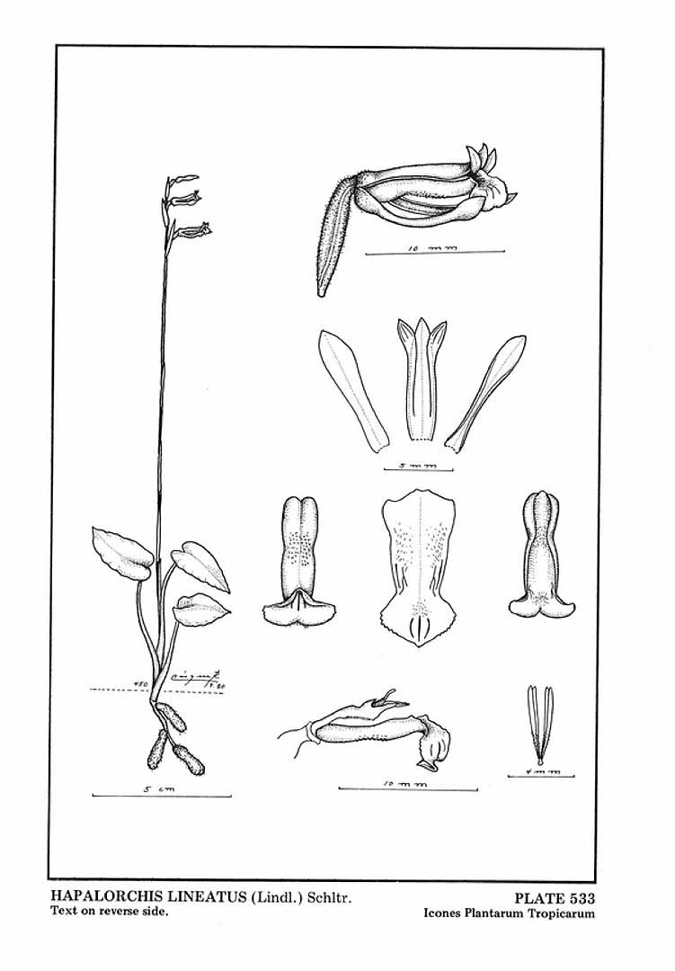no HD illustration available (m5)