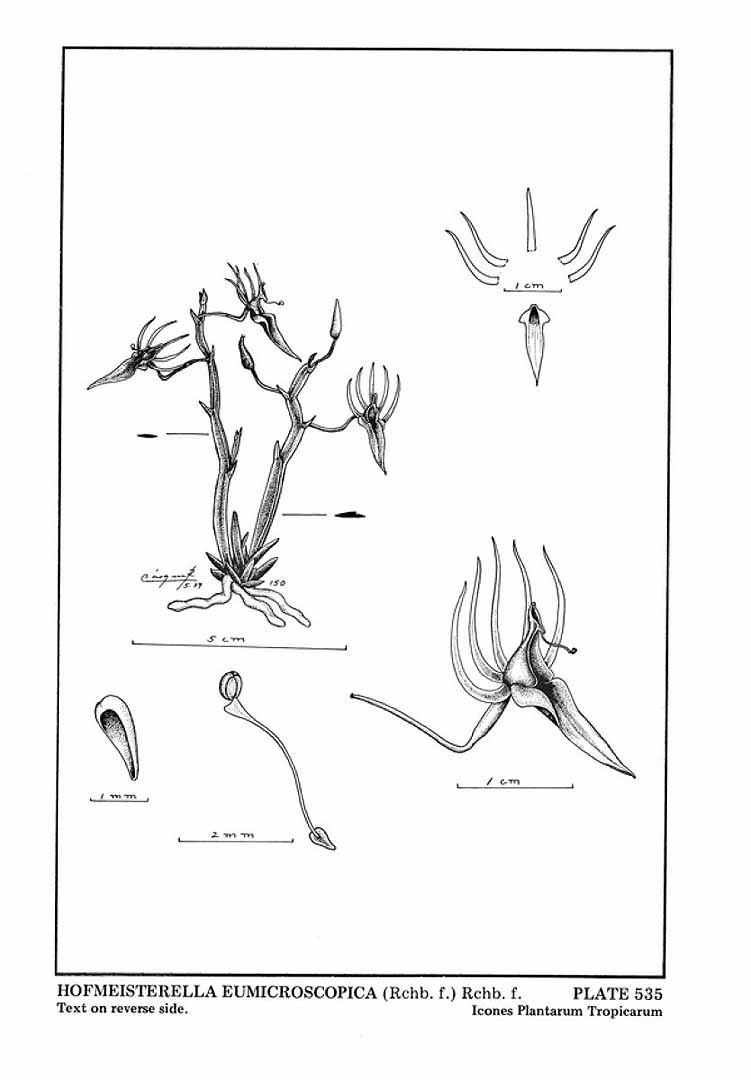 no HD illustration available (m5)
