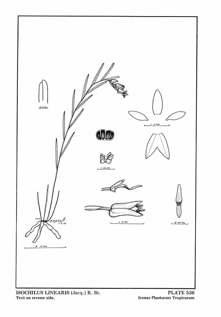 no HD illustration available (m5)