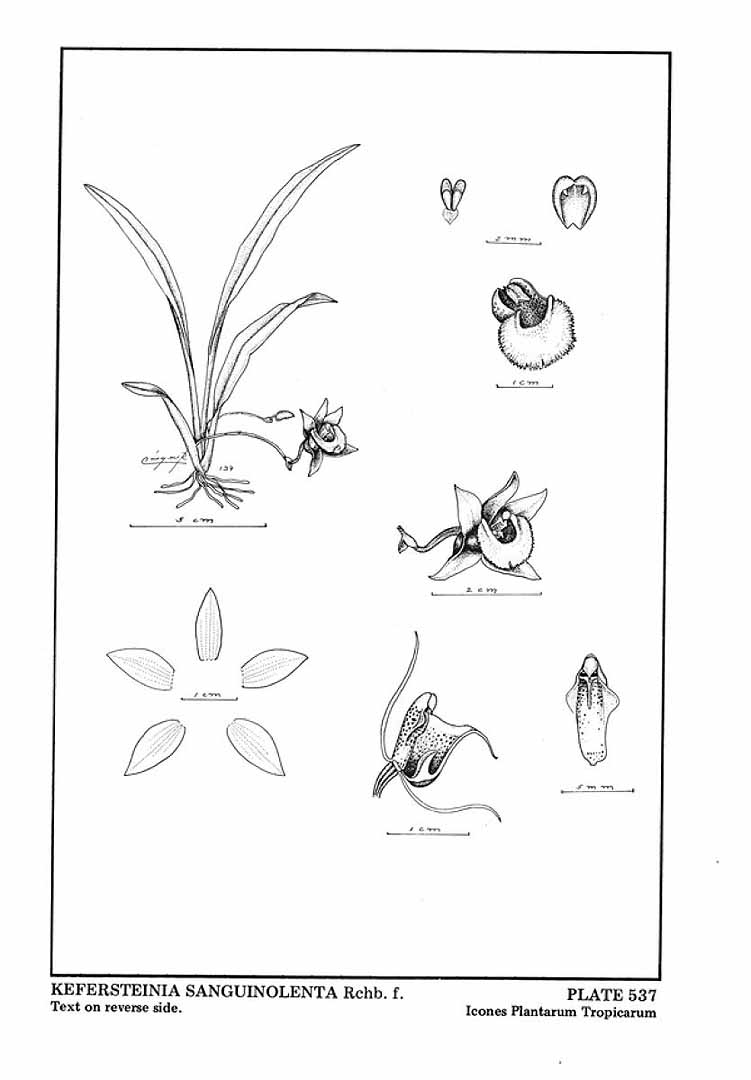 no HD illustration available (m5)