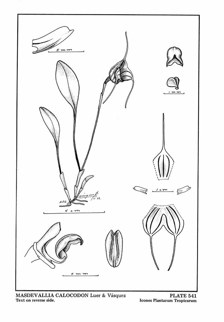 no HD illustration available (m5)