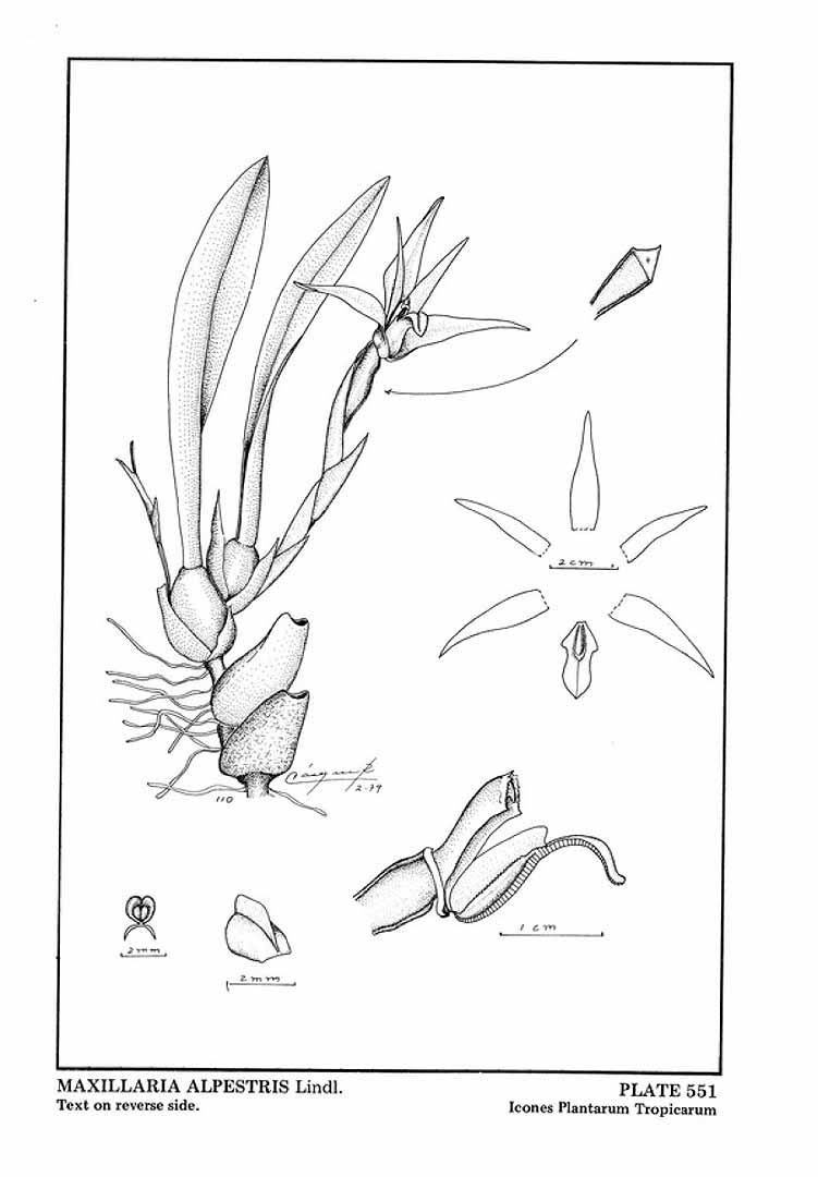 no HD illustration available (m5)