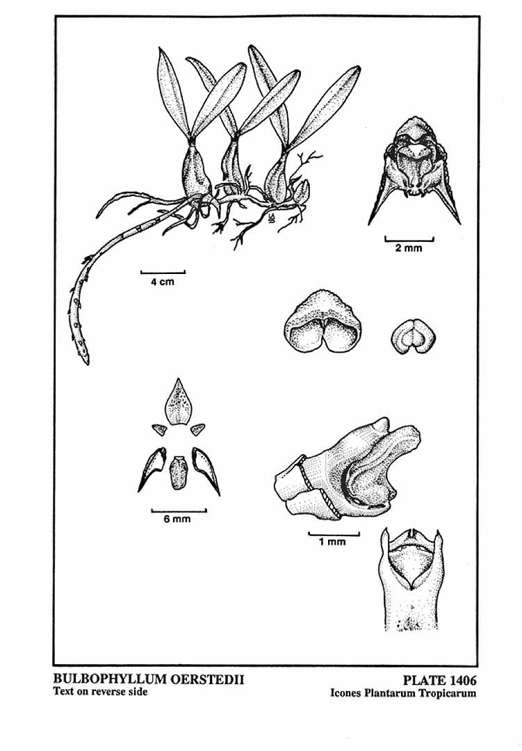 no HD illustration available (m5)