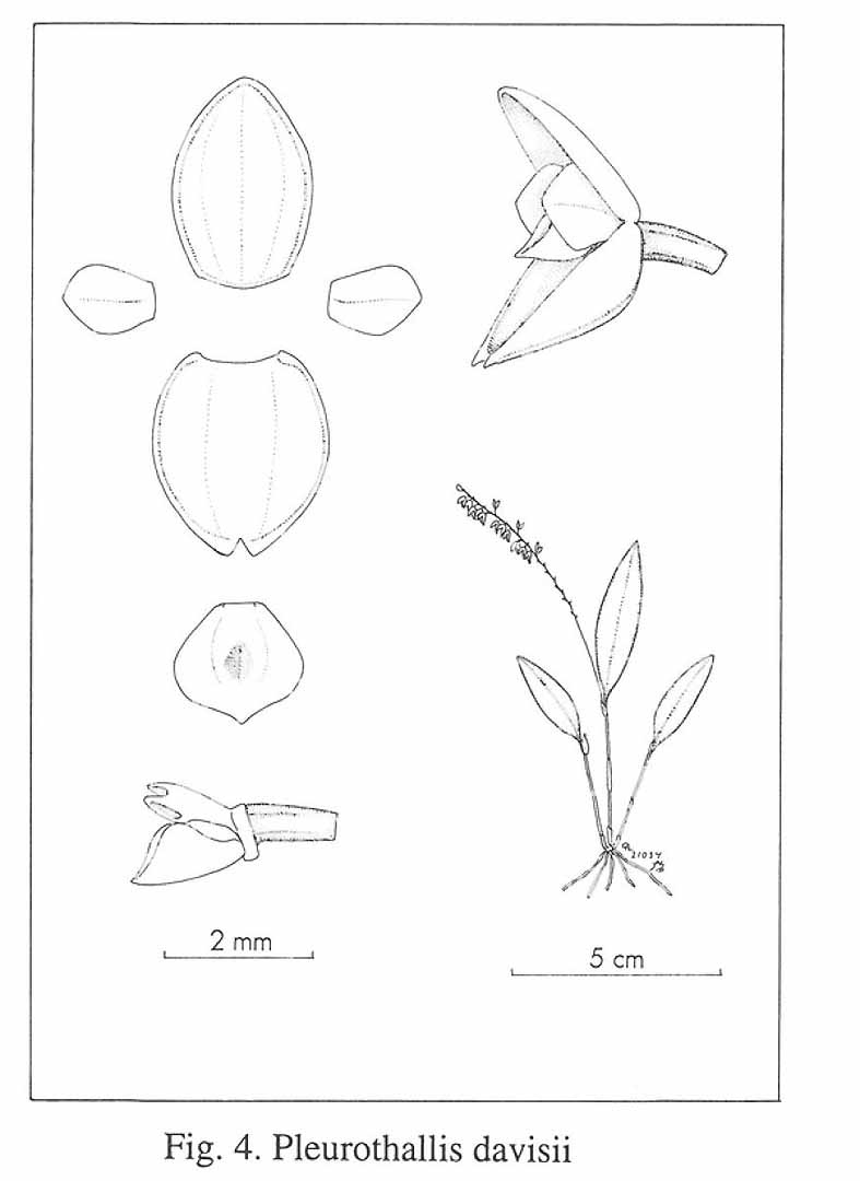 no HD illustration available (m5)