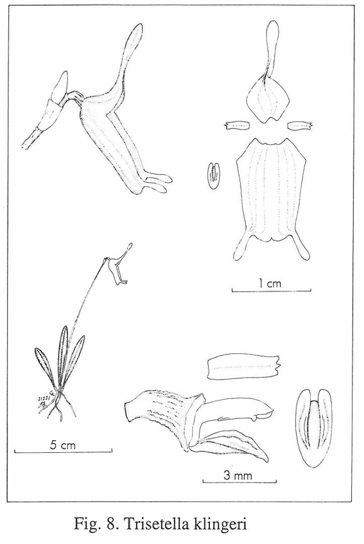 no HD illustration available (m5)