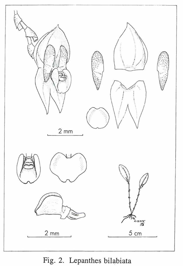 no HD illustration available (m5)