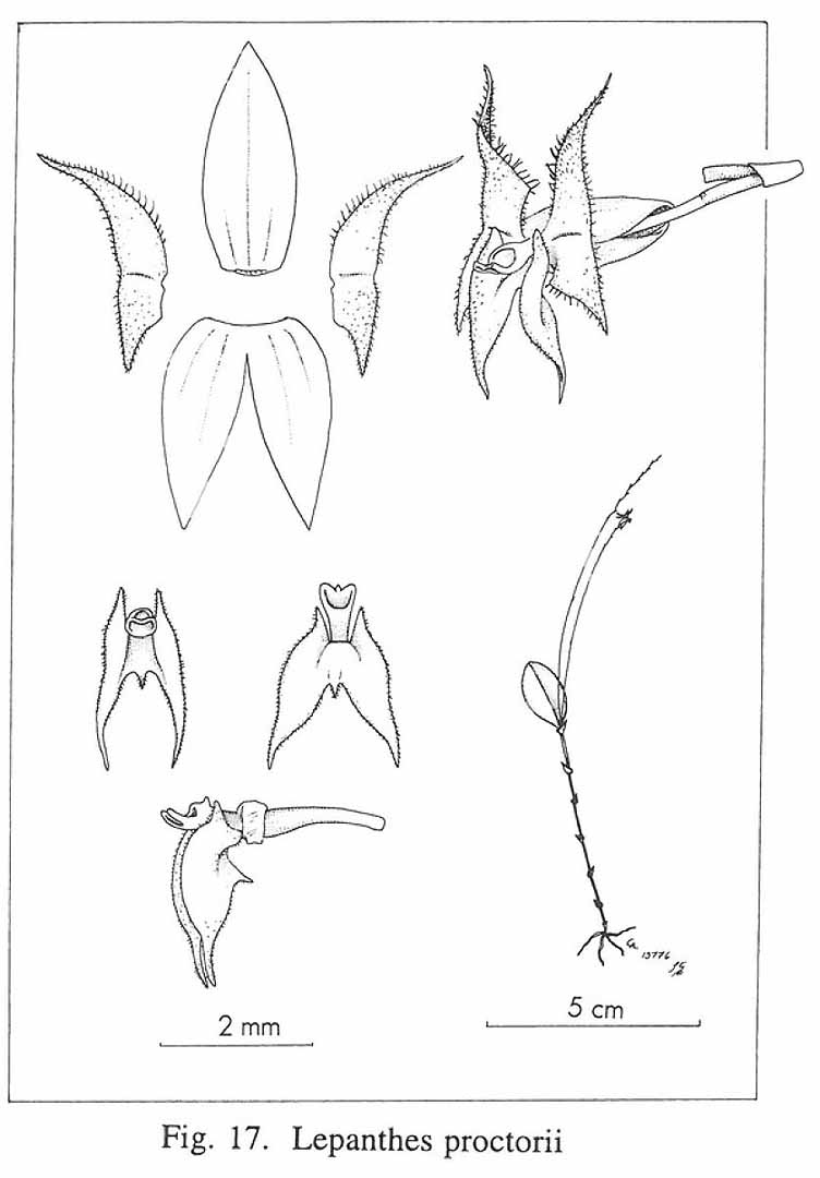 no HD illustration available (m5)