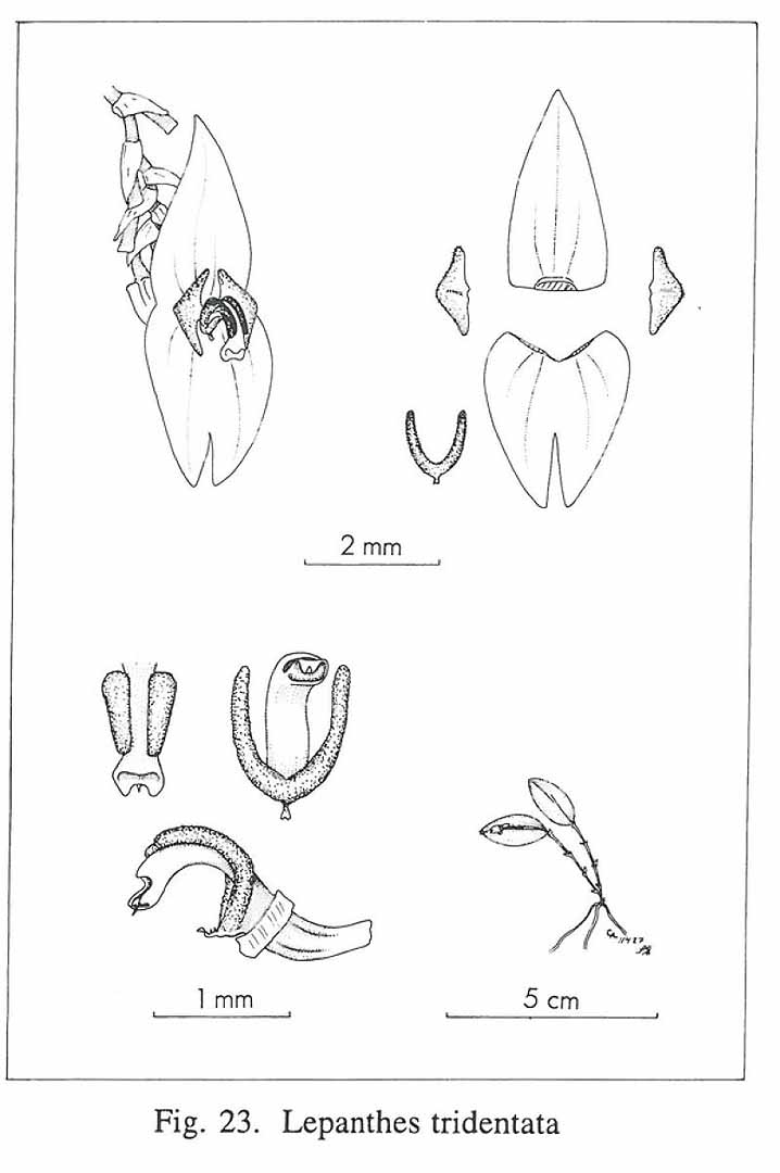 no HD illustration available (m5)