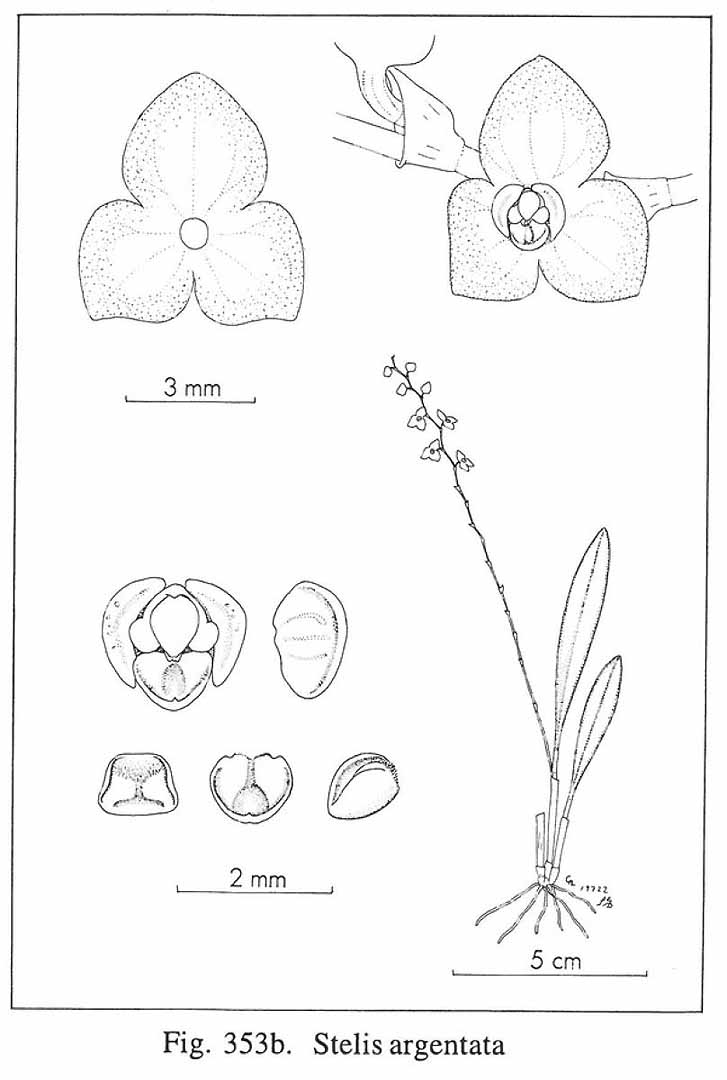 no HD illustration available (m5)