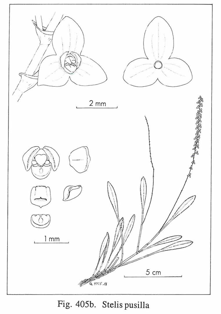 no HD illustration available (m5)